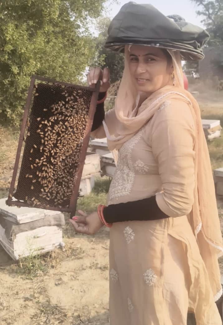 भूना। खजूरी जाटी गांव की मीनाक्षी पूनिया बिश्नोई प्राकृतिक शहद दिखातीं और मधुमक्खी बॉक्स का निर
