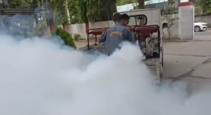P: Highest Mosquito Threat in Moradabad—More Larvae Found Than in Other Districts of the Division