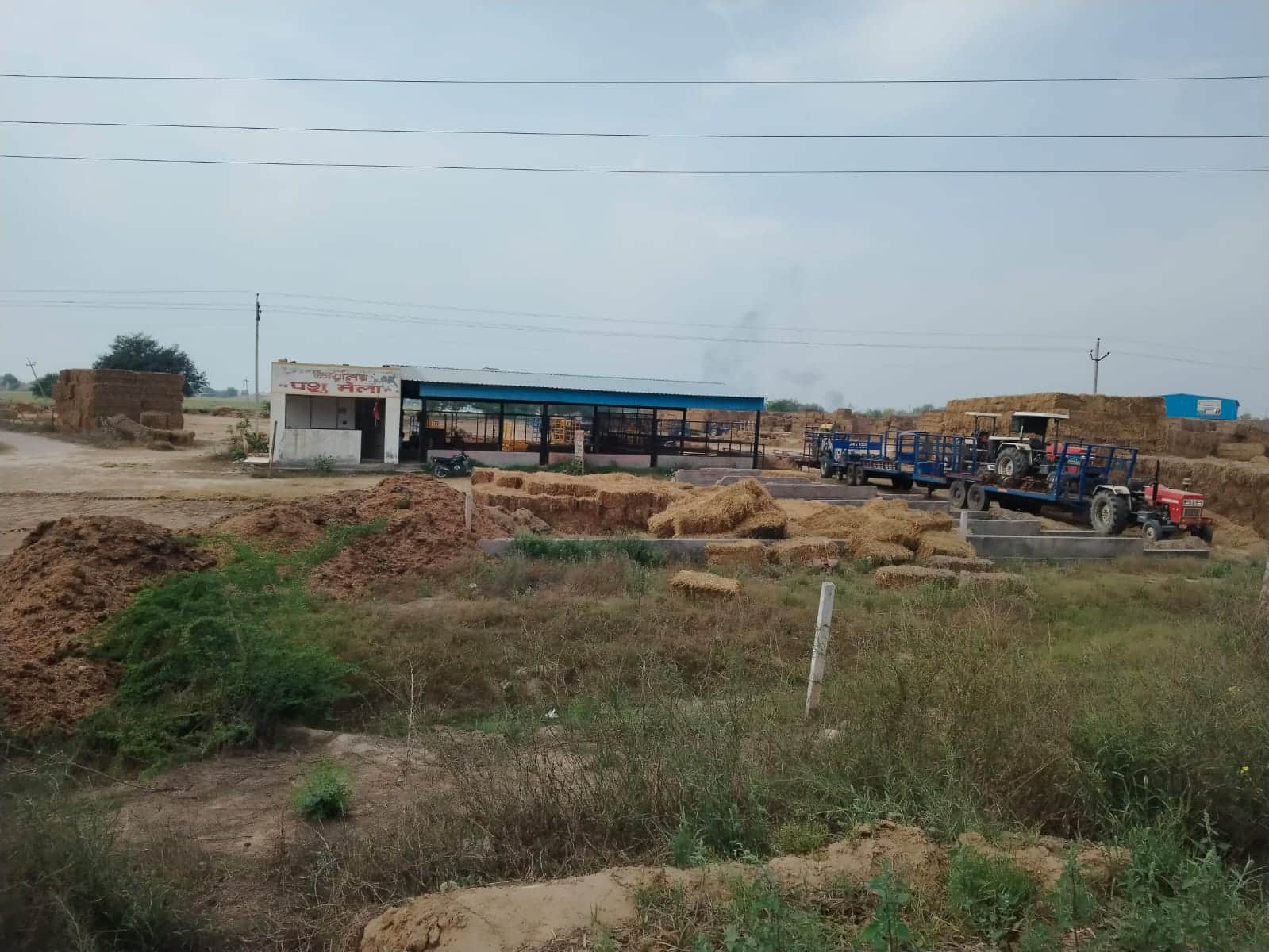 फतेहाबाद के गांव अयाल्की का वह स्थान जहां पशु मेला लगता था। संवाद