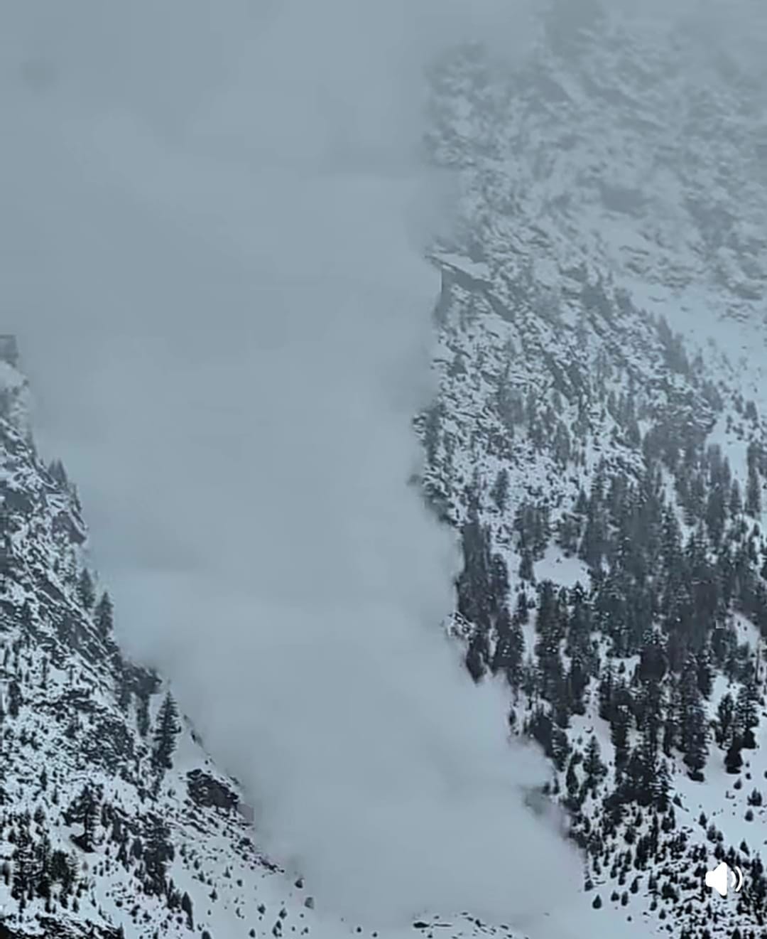 Snowfall brings life to apple and cash crops