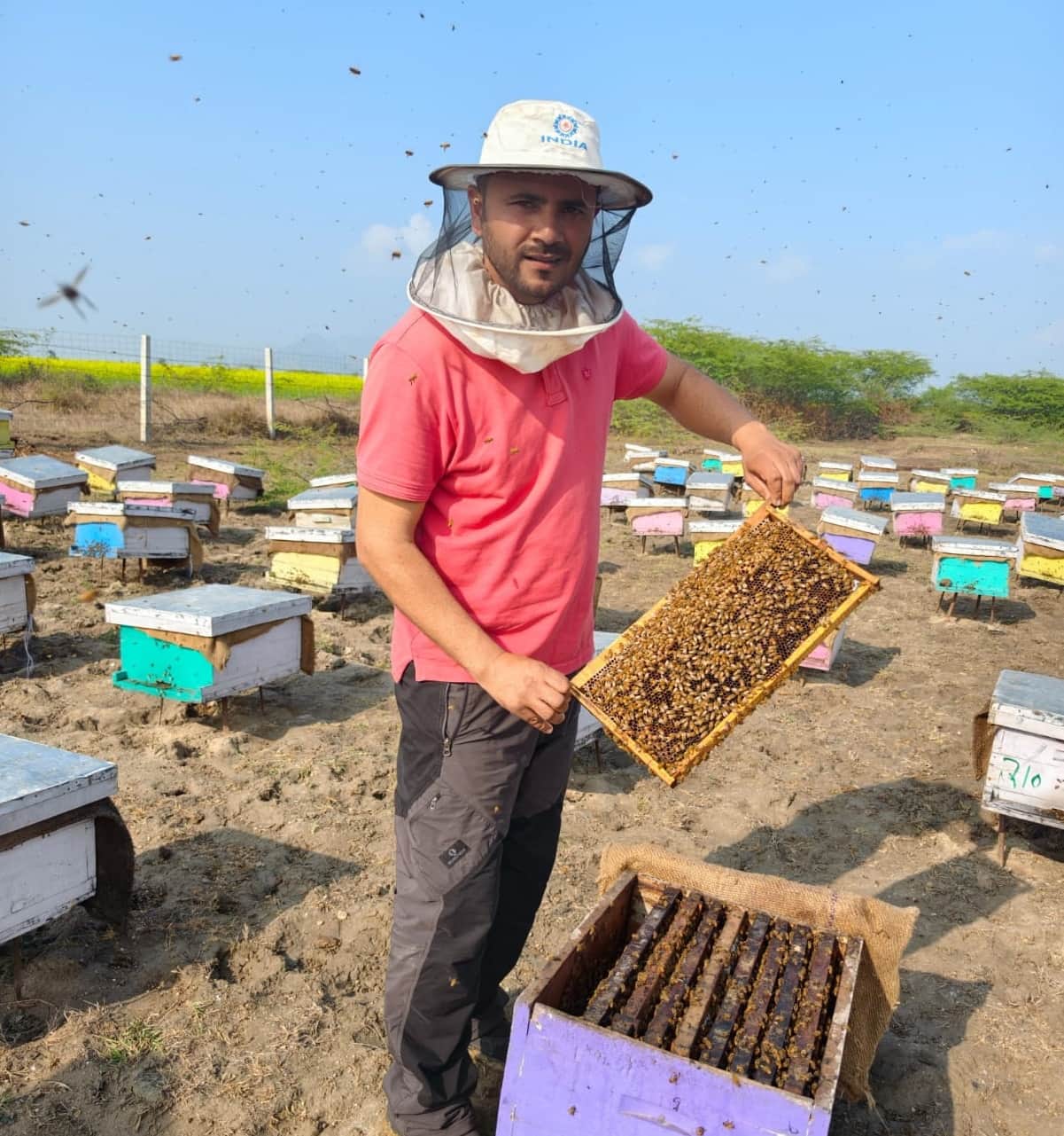 मधुमक्खियों की देखरेख करते मौन पालक सूरज सन्नी चौहान। संवाद 