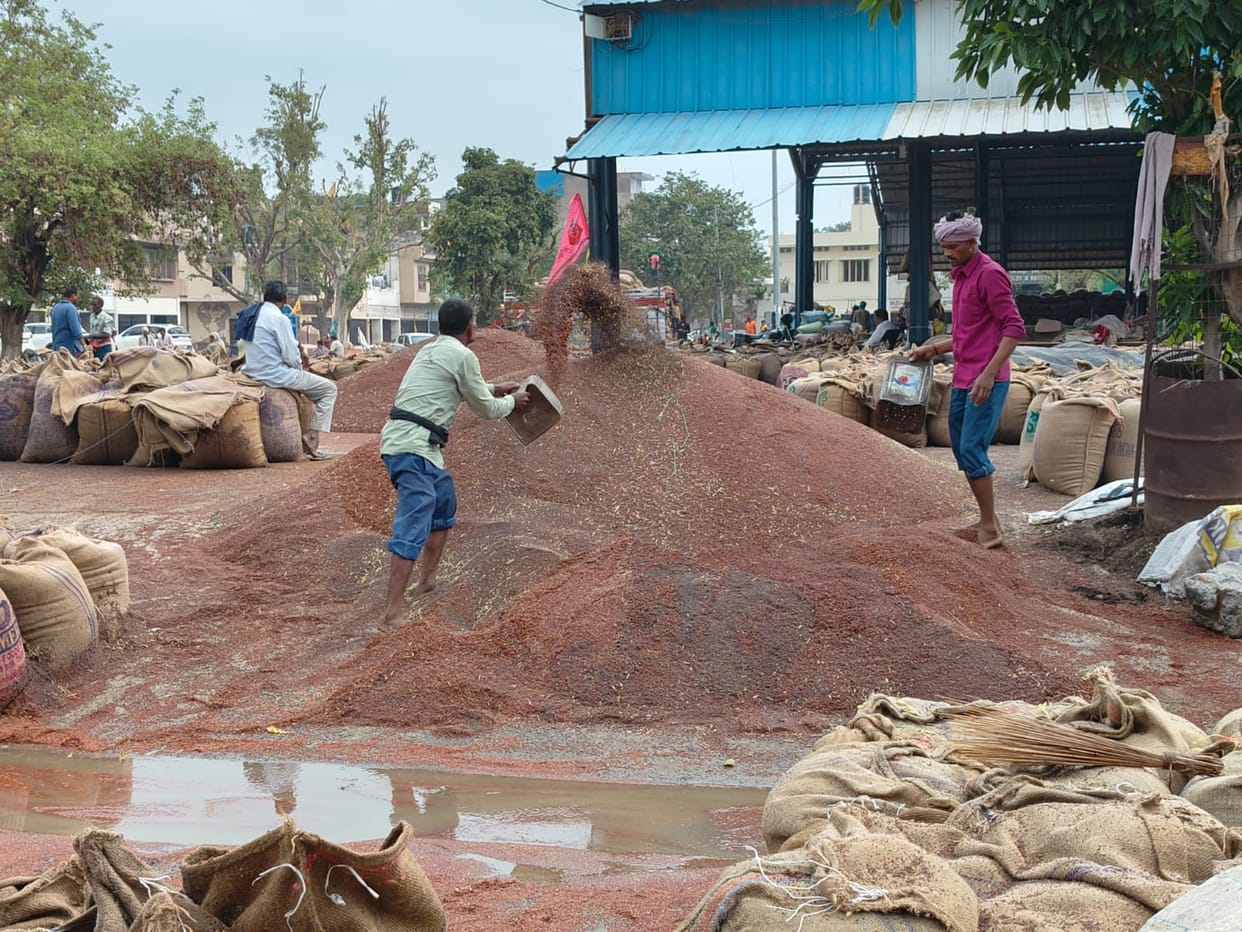 10% mustard damage due to rain, notice to three traders for negligence in crop protection