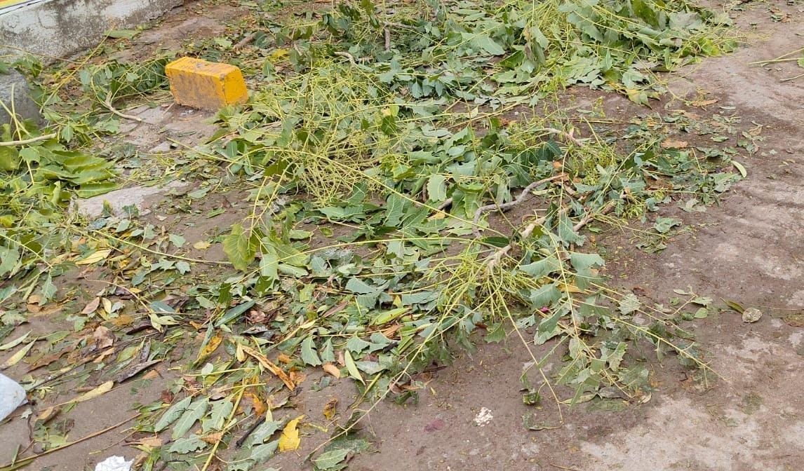 Rain and hailstorm affected 30% of crops, power was cut off due to broken poles.