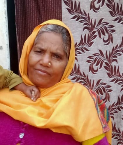 Elderly woman dies after being hit by a bus
