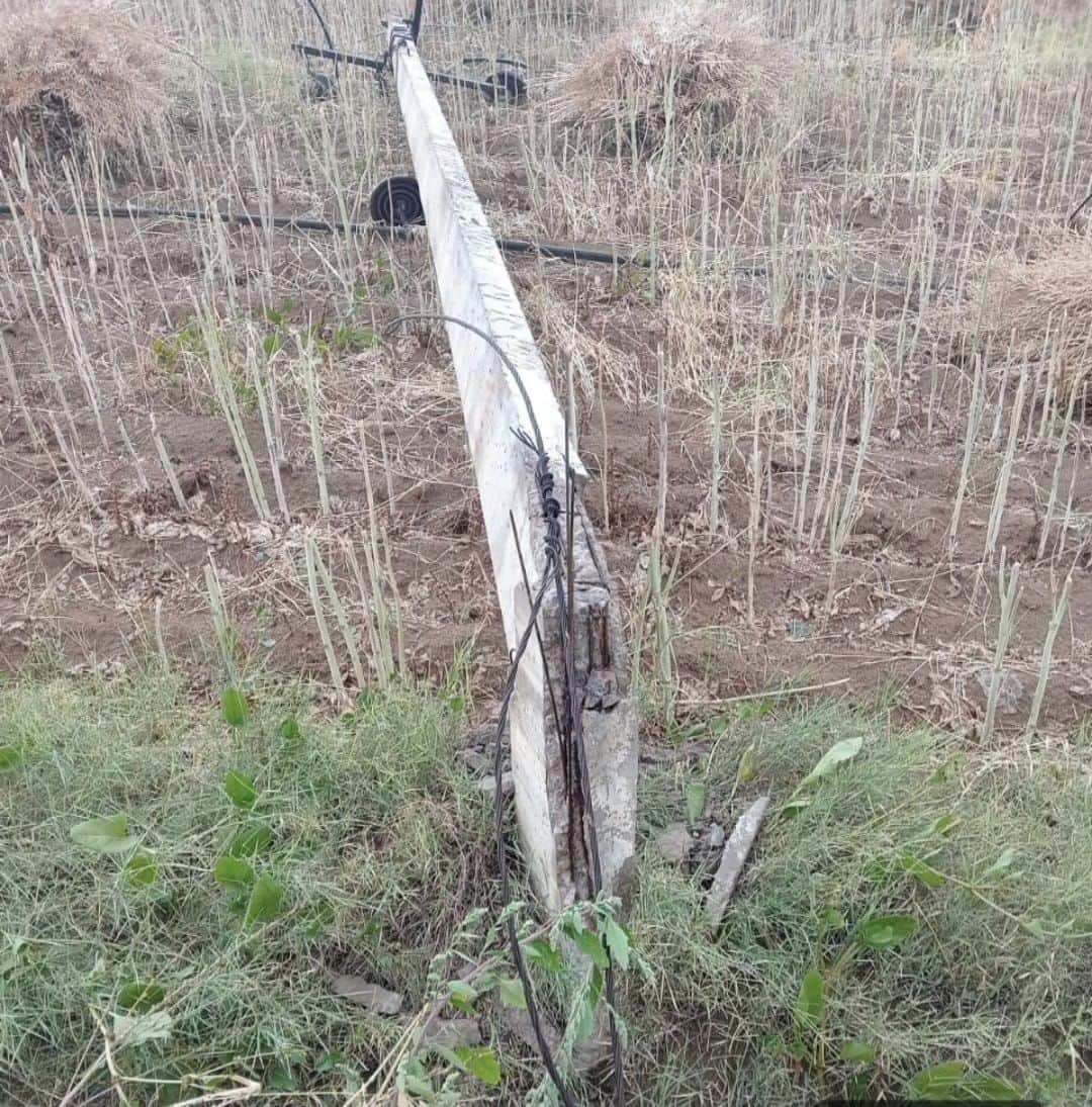 तोशाम के खेत में टूटा पड़ा बिजली का खंभा। 