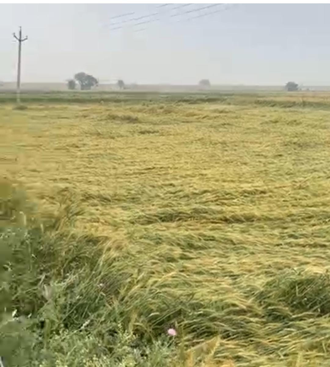 Many villages felt cold
