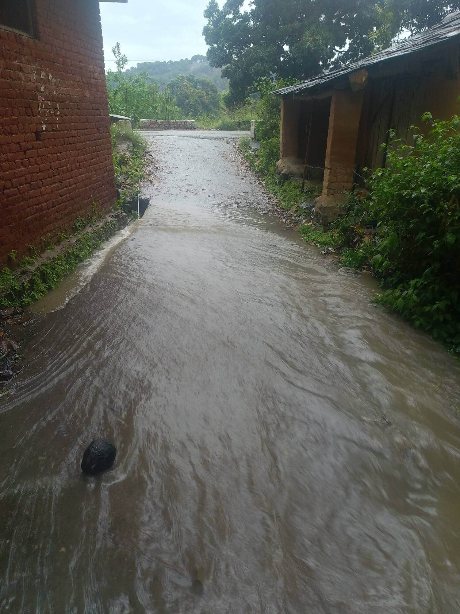 धर्मशाला के विस के मंदल में प्राईमरी स्कूल जाने वाले रास्ते पर बहता बारिश का पानी। स्रोत: जागरू