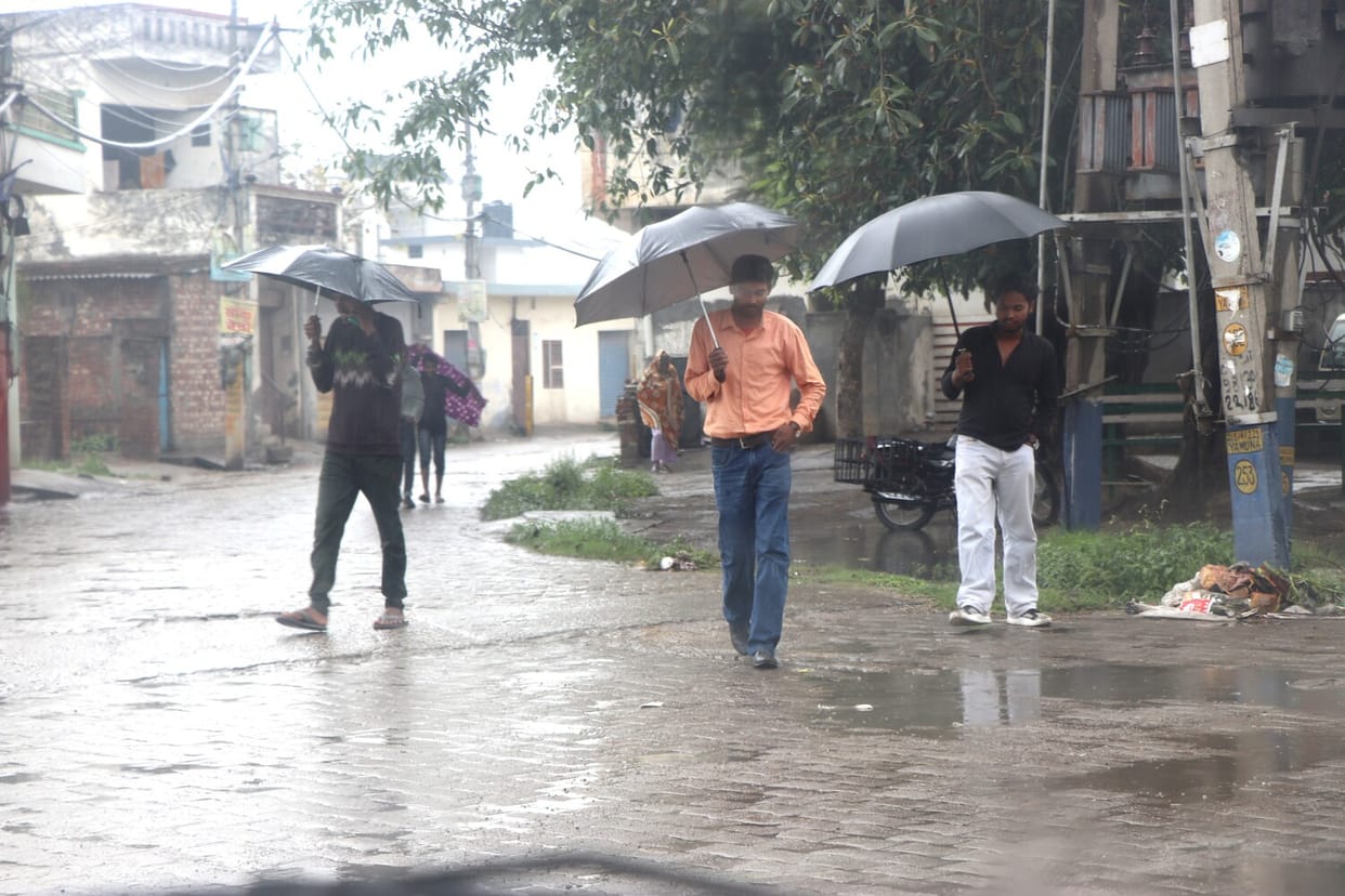 Temperatures drop by six degrees due to rain; wheat and mustard crops face a crisis