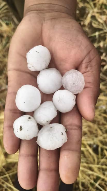 Unseasonal rain hits Gwalior Chambal; hail falls along with rain