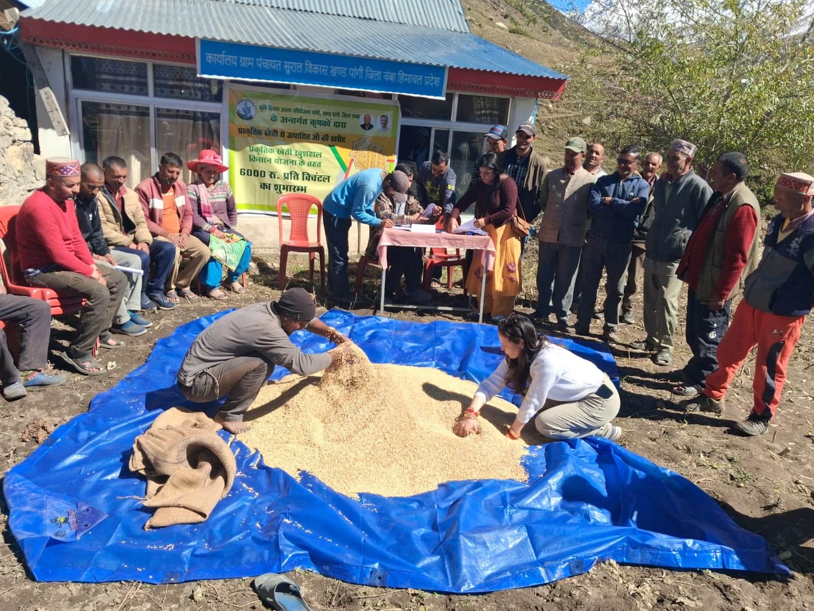 पांगी में जौ खरीद और बेचने को पहुंचे किसान। फाइल फोटो