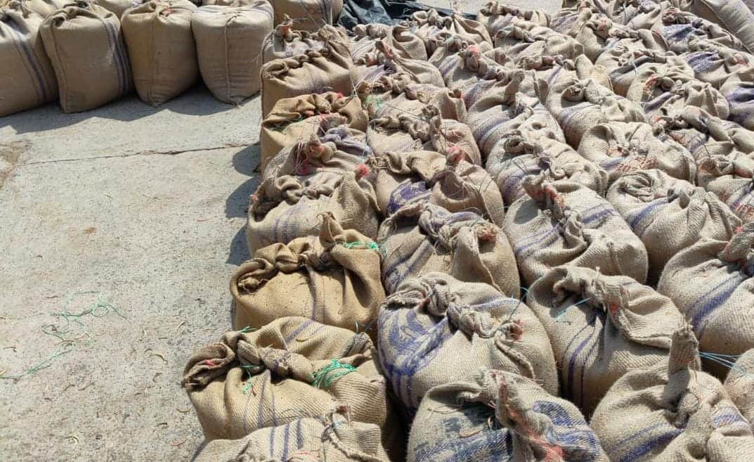 रेवाड़ी अनाज मंडी में पड़ीं फसल की बोरियां। संवाद