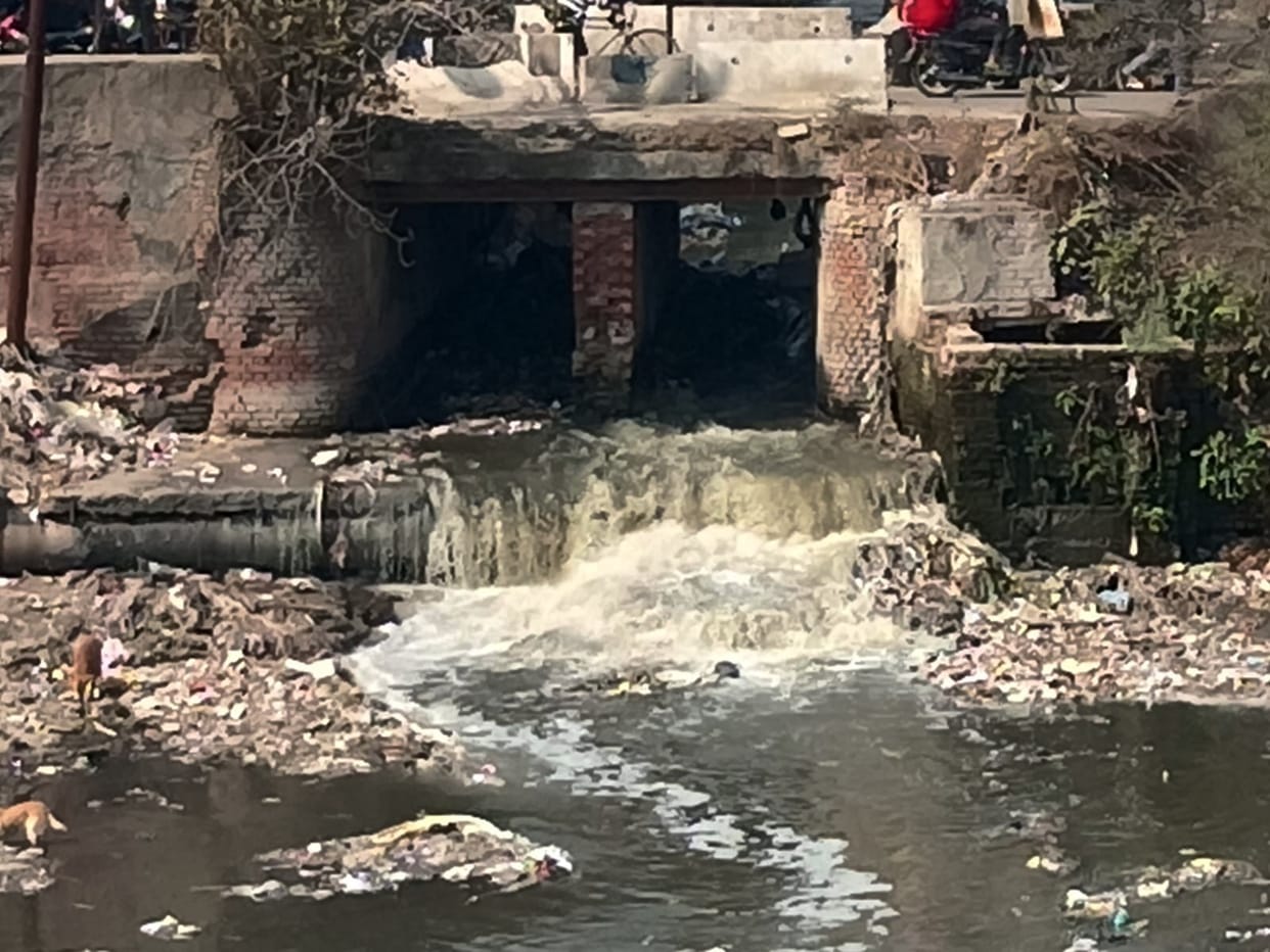 Pollution from the Paondhoi River is rendering the Dhamola, Hindon, and Yamuna toxic.