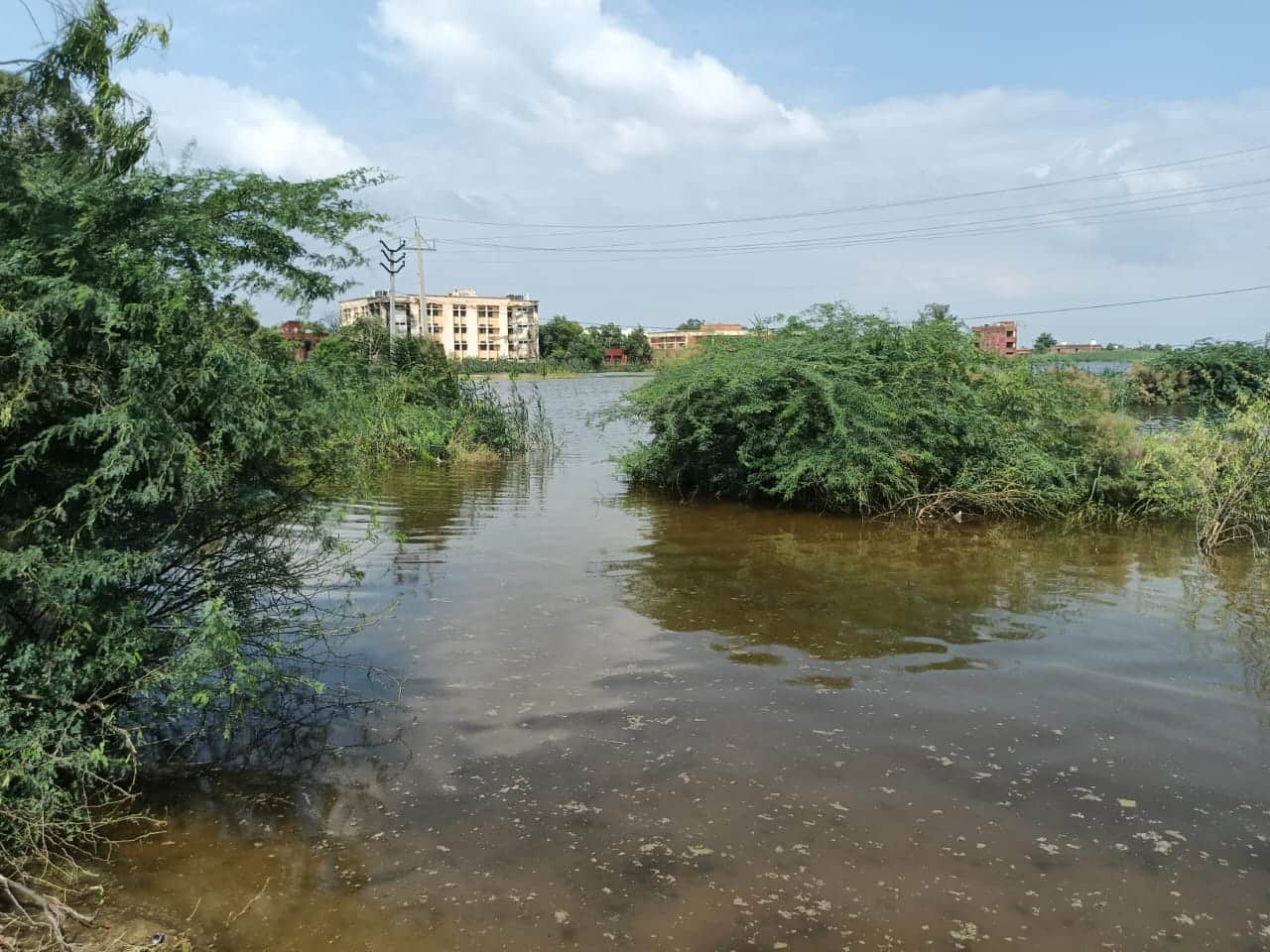 चौधरी देवीलाल राजकीय बहुत तकनीकी संस्थान में भरा पानी।  फाइल फोटो। 