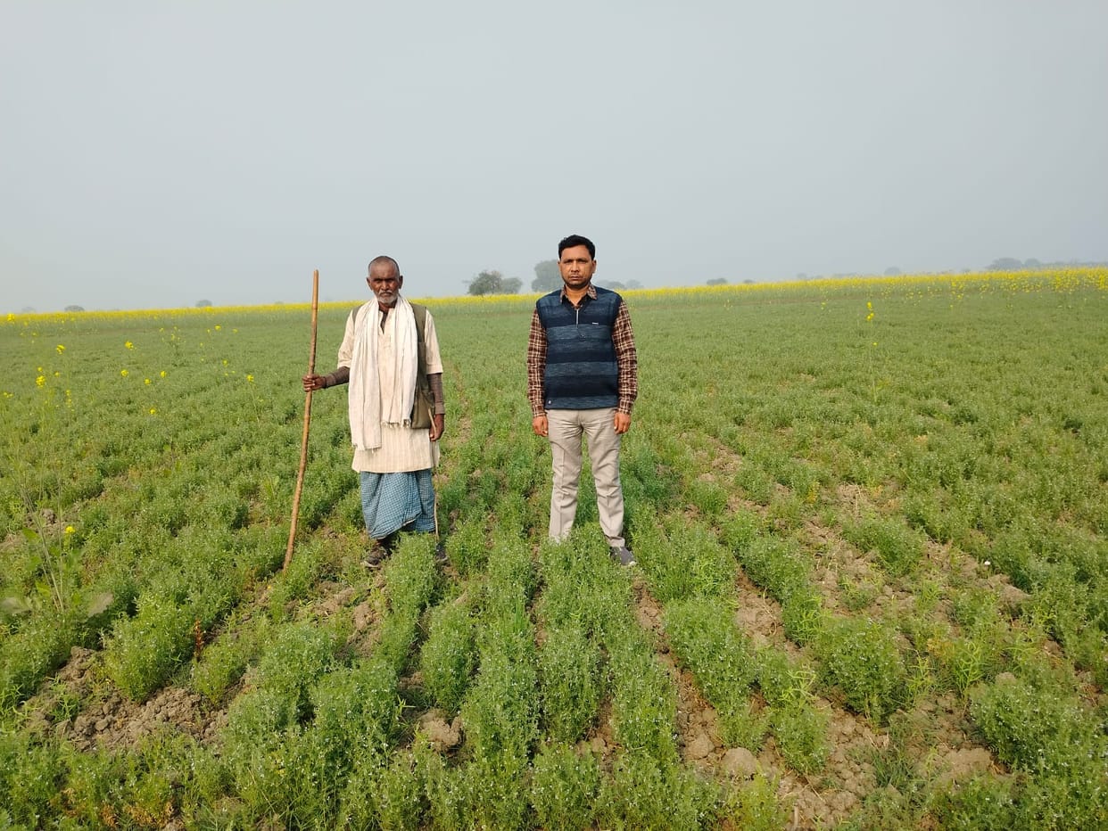 The area under low-irrigation gram cultivation increased by 1782 hectares.