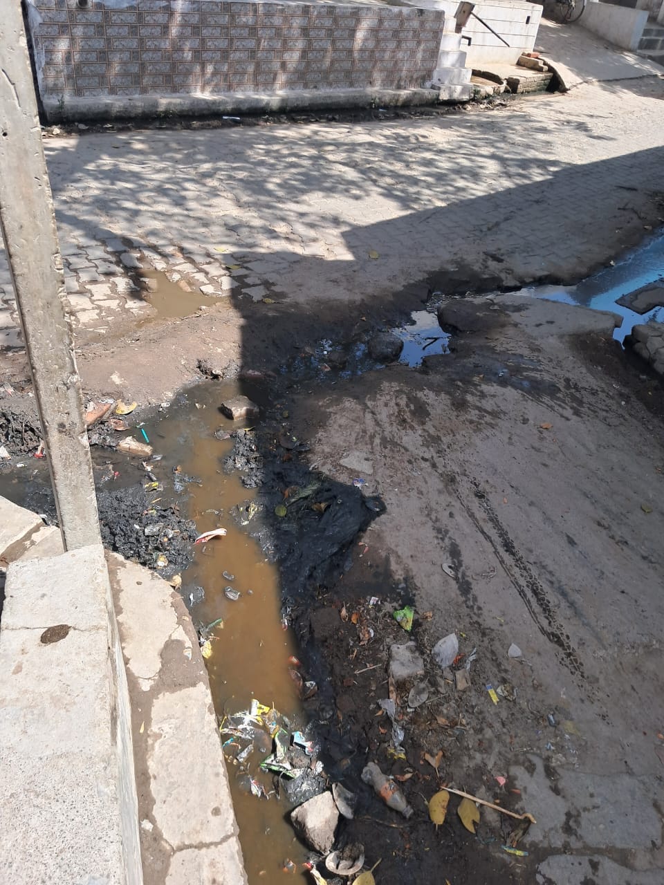 Piles of garbage in Tolakpur, villagers upset
