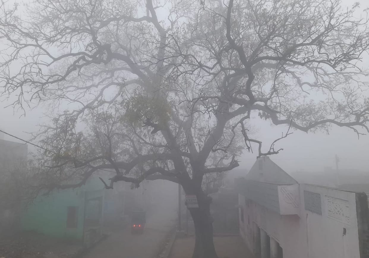 Rain at night, fog in the morning and cool breeze during the day