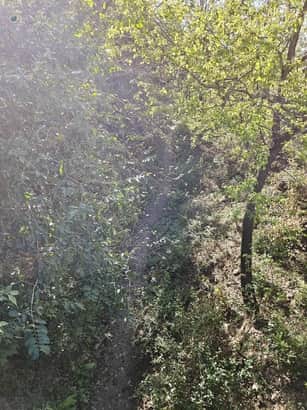 गिरी-पुरूवाला नहर, जिसकी मरम्मत की जानी है। संवाद