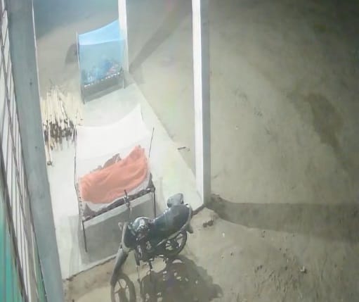 Leopard attacks dog in Ghugli, villagers in panic