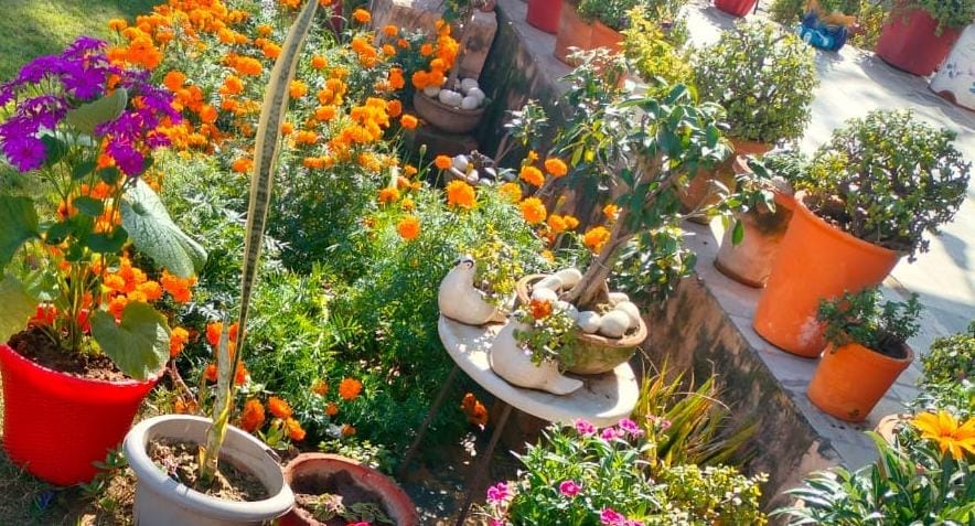 Pooja is spreading the message of environmental protection from her courtyard garden.