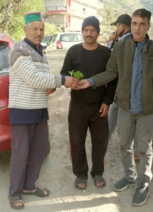 The youth of Shalati Ghori are busy preparing for hybrid tomato cultivation