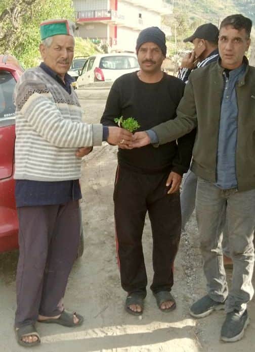 किसानों को टमाटर के हाइब्रिड पौधे वितरित करते ग्राम सुधार कमेटी शलाटी के सदस्य। संवाद