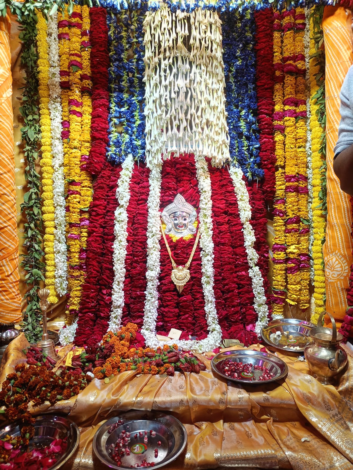 Seven lakh devotees visited Vindhyadham on the third day of Navratri.