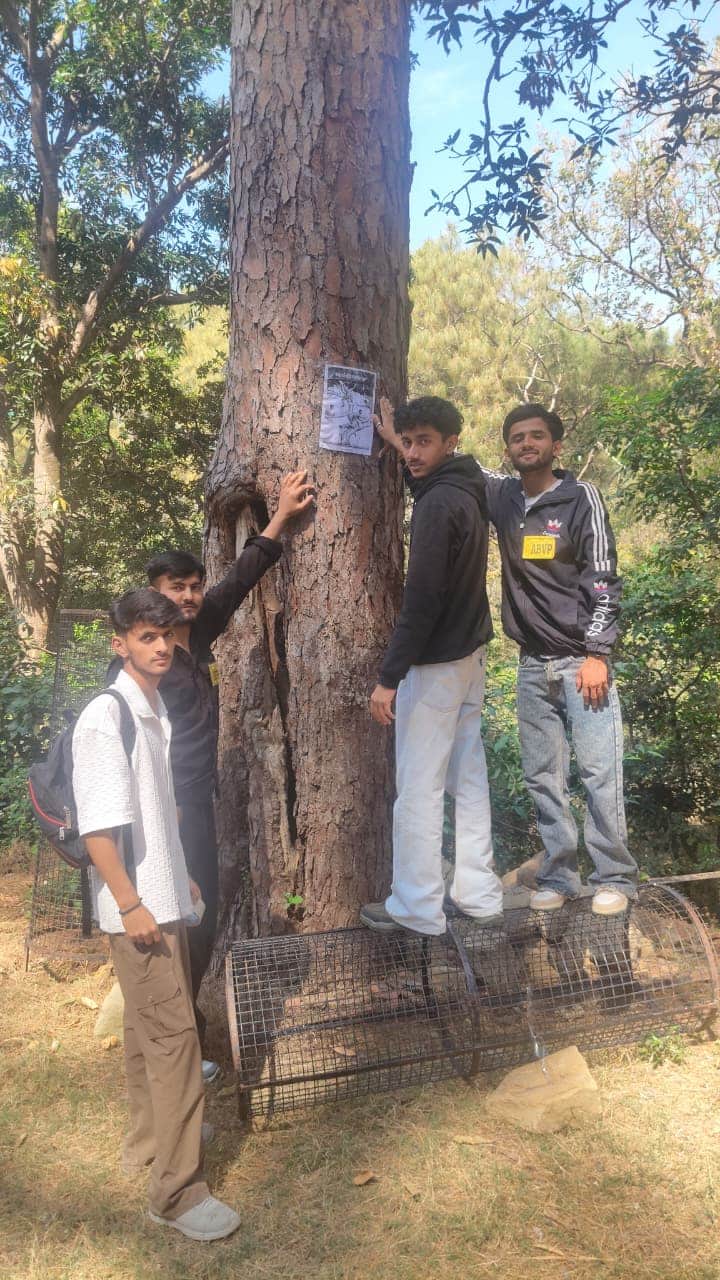 नाहन में वन संरक्षण को लेकर पेड़ों पर जागरूकता पोस्टा चस्पां करते एबीवीपी के विद्यार्थी। स्रोत: