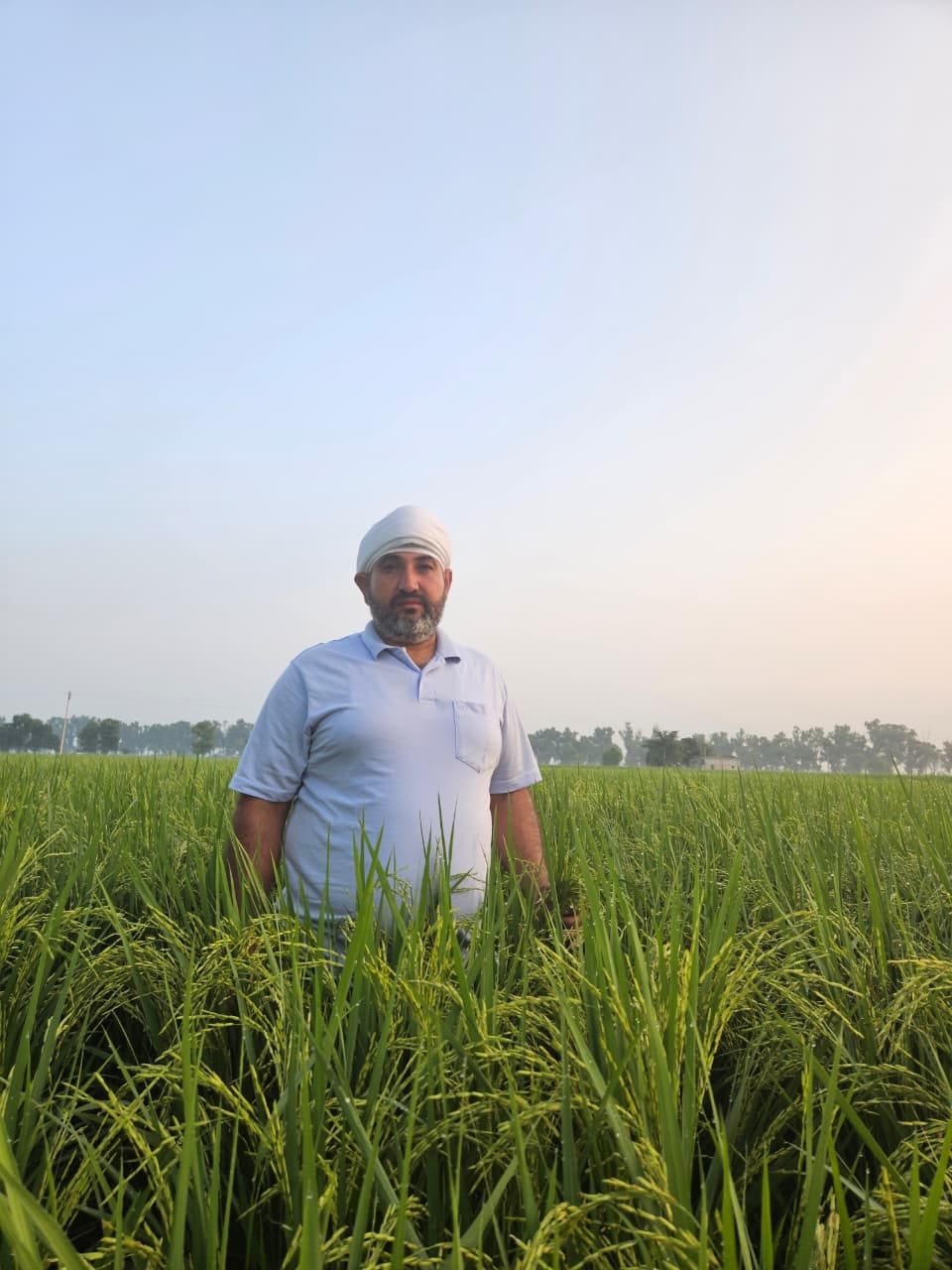 budh singh will be honoured by cm