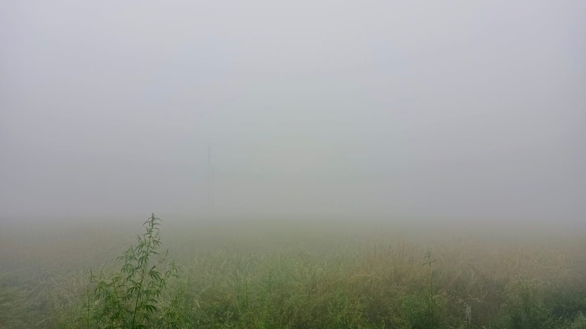 Dense fog prevailed in the morning, rain is expected tomorrow