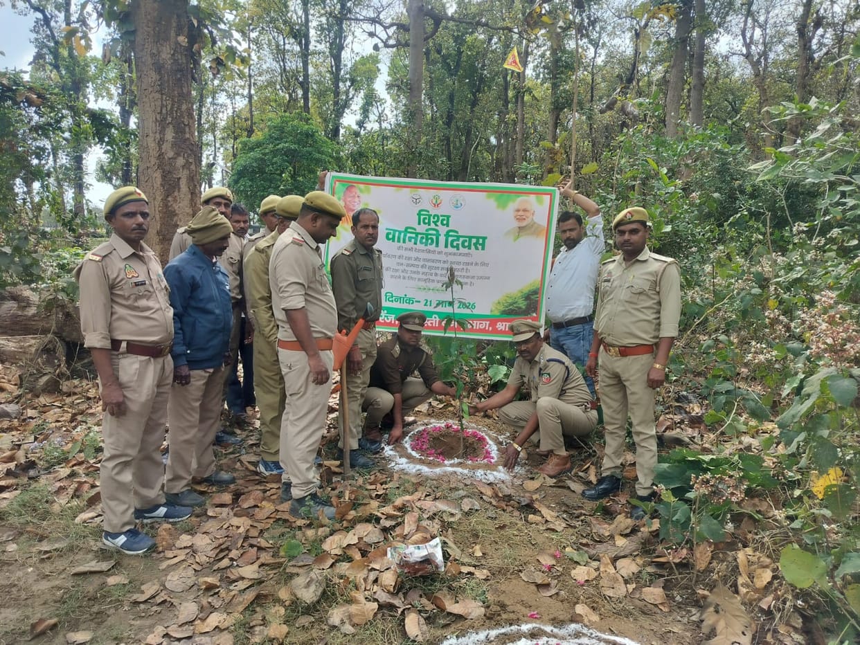 World Forestry Day celebrated by planting trees