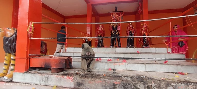 Maa Banchra Devi Dham Becomes a Center of Faith; Devotees Flock from Far and Wide
