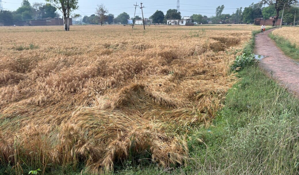 Monsoon-like weather, after three years, 7.8 mm of rain fell in 24 hours in March