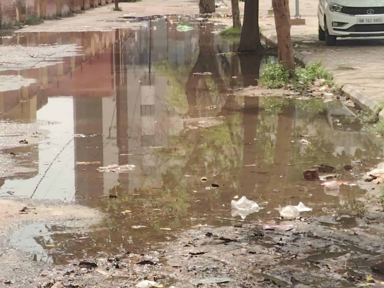 Mosquito infestation increases after rain, larva inspection campaign continues