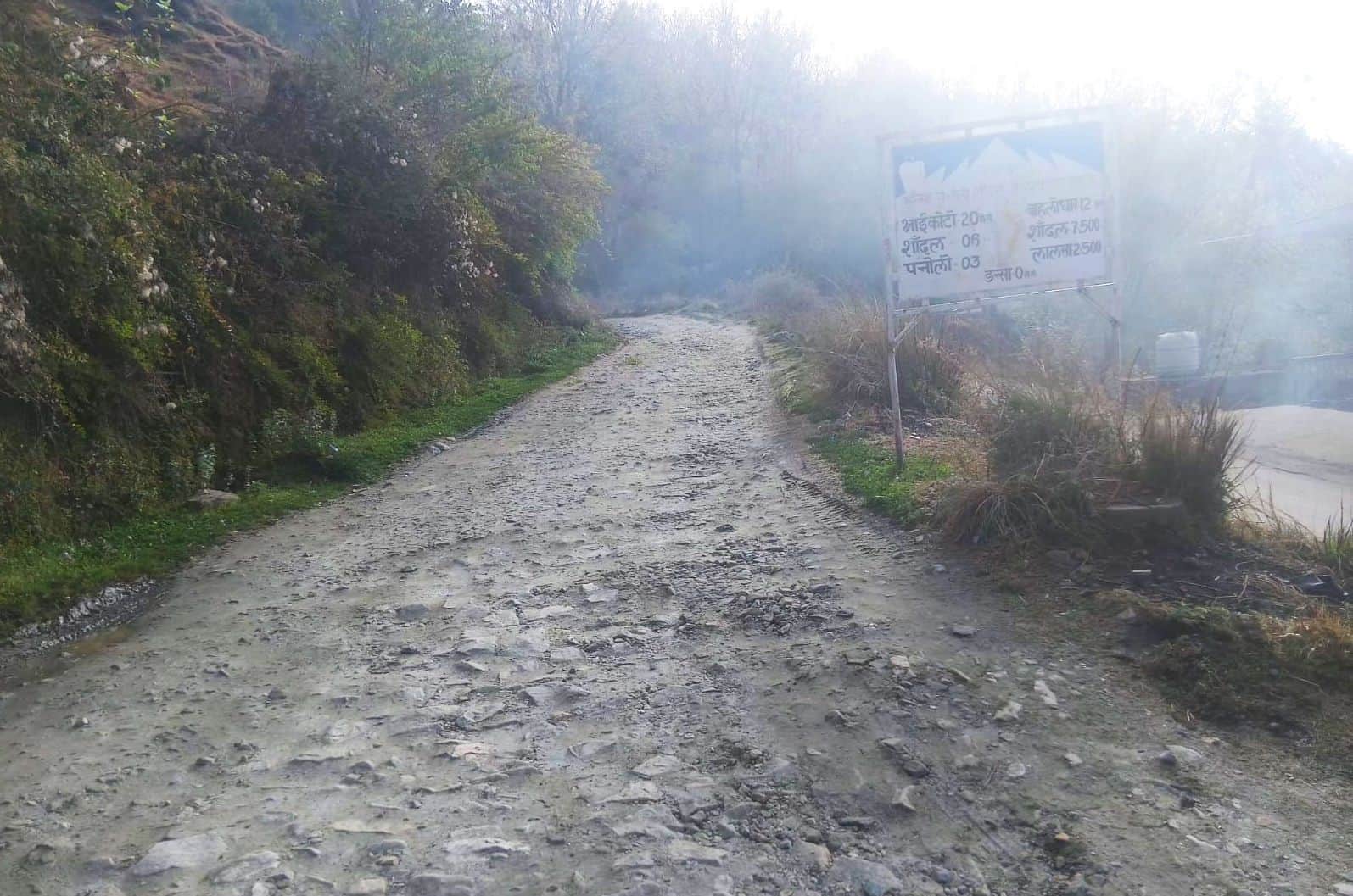 डंसा पनोली शांदल सडक़ की एक दशक से नहीं सुधरी हालत। संवाद