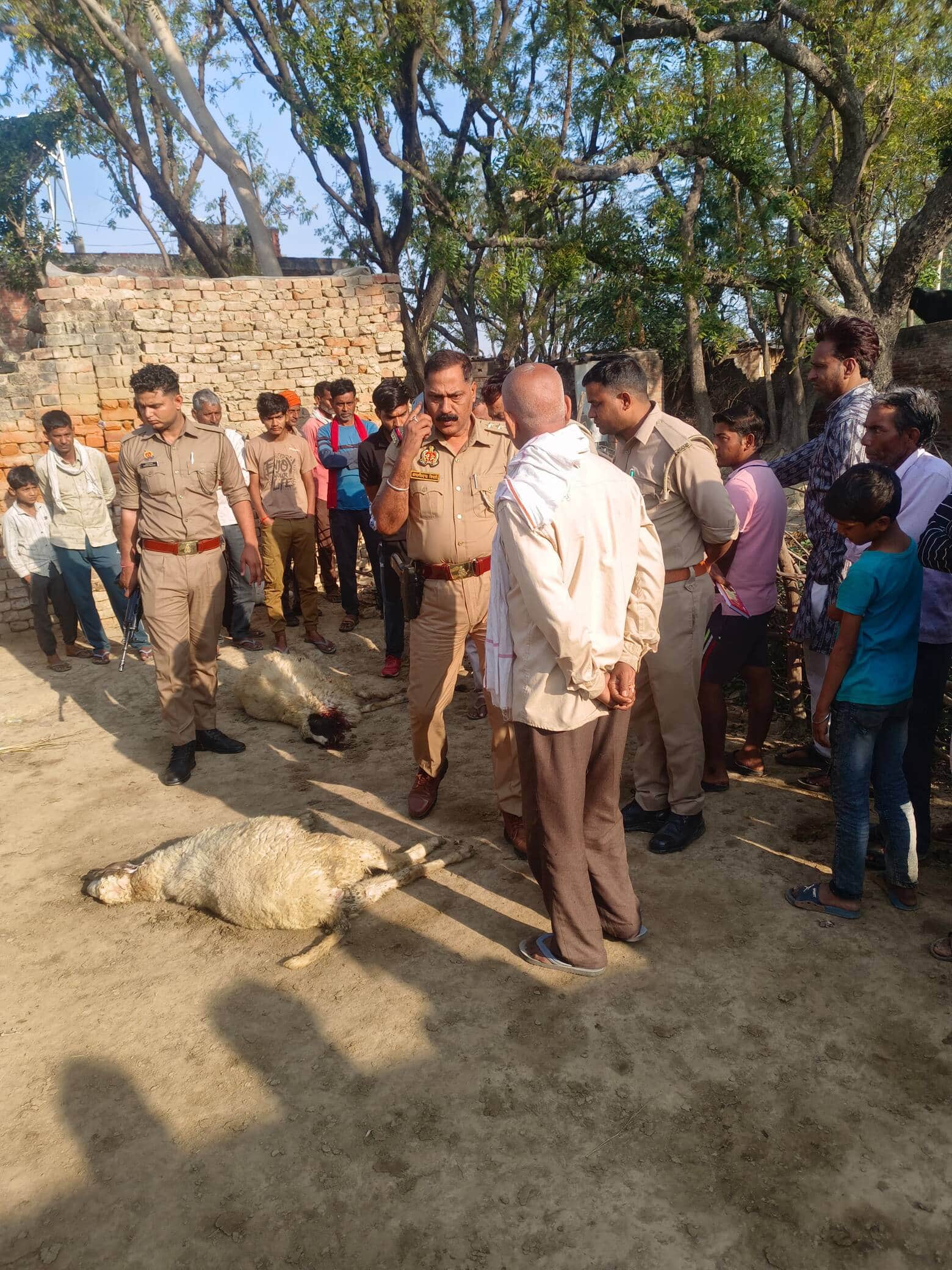 फोटो-13-घटनास्थल पर जांच करते थाना प्रभारी निरीक्षक मौजूद ग्रामीण। संवाद