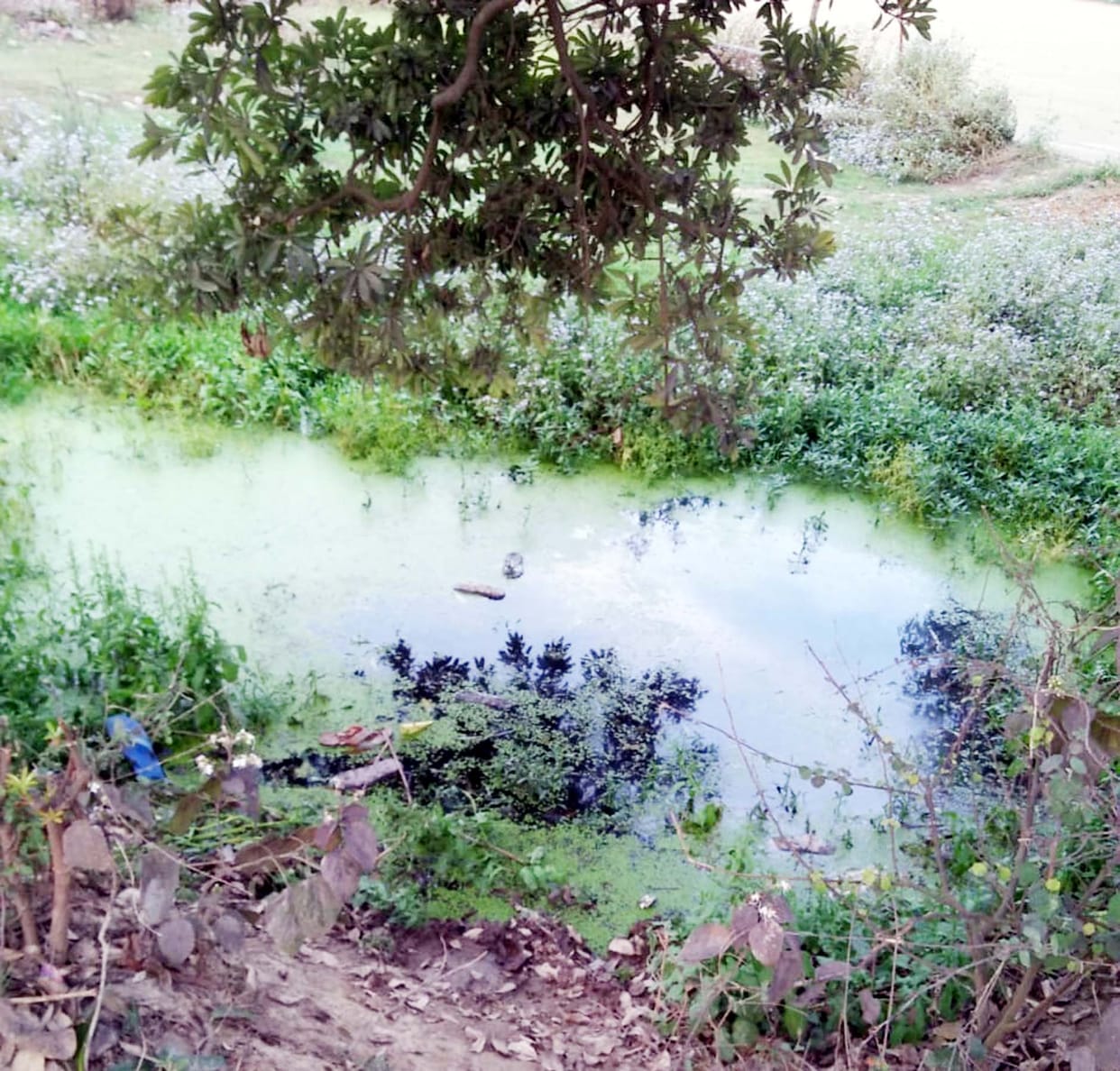 Arun Verma died due to water leaking from pipes under the 'Har Ghar Jal' scheme.