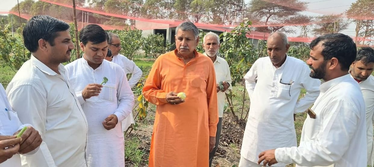Taunts changed Amarjeet's fortunes, earning fame through organic farming of chickpeas and mustard.