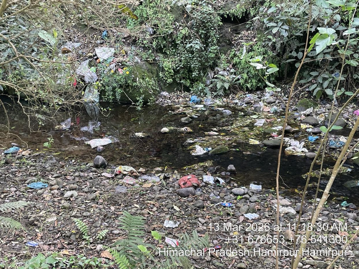 Sewerage system buried in files, Jamli Khad's stream is dying in garbage