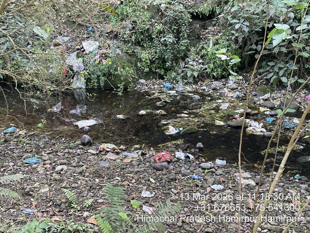 जमली खड्ड में फेंका गया कचरा। संवाद।