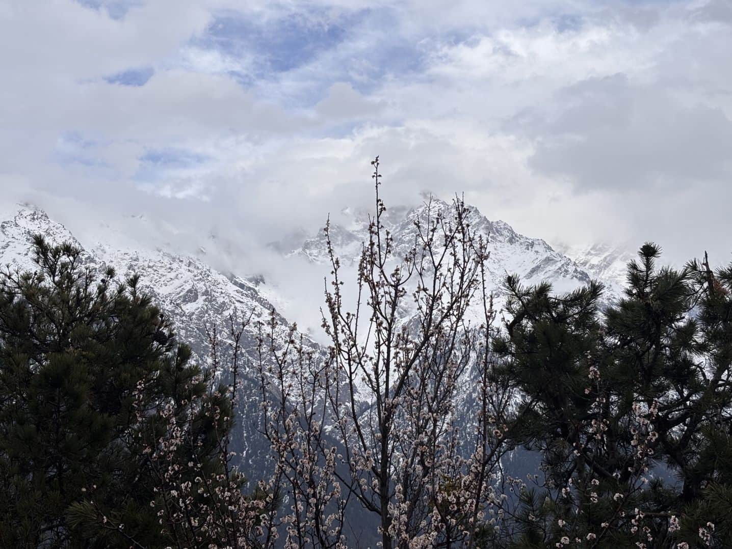किन्नौर जिले में फिर बिगड़ा मौसम, सोमवार को ऊंची चोटियों में हुआ हल्का हिमपात। संवाद
