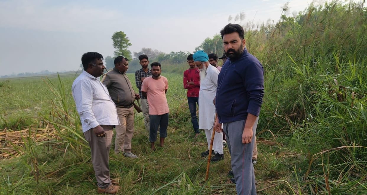 Tiger Injures Farmer Who Went to Untie Buffalo