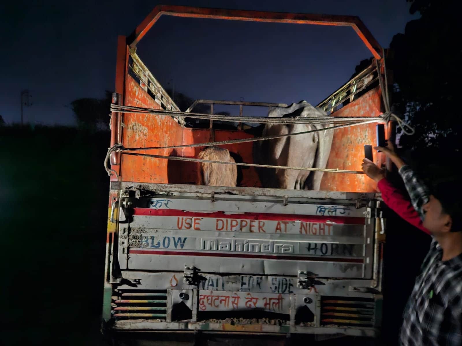 मुठभेड़ में घायल पशु चोर को ले जाते पुलिसकर्मी,  बरामद पिकअप में लदी भैंस। स्रोत: पुलिस