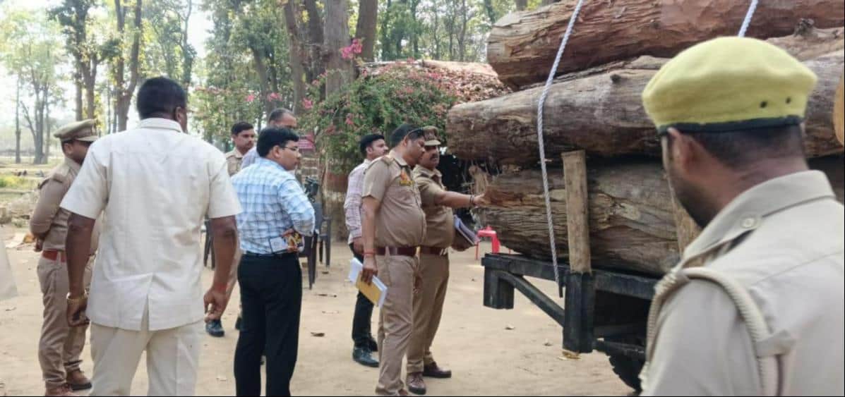 सुजानडीह बीट में लकड़ी की जांच करते वनकर्मी