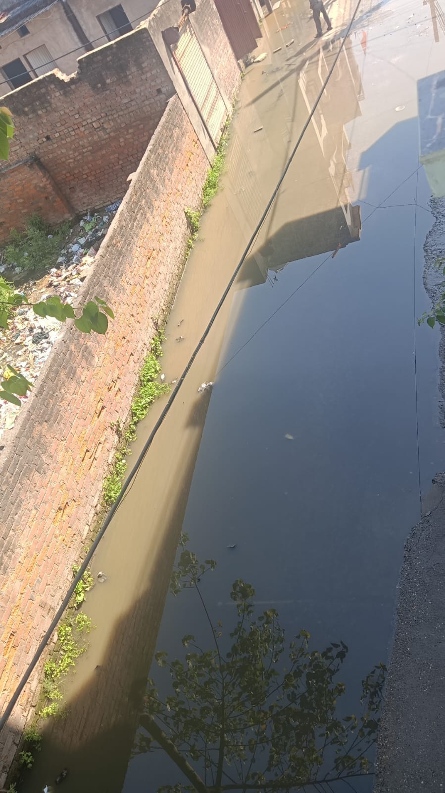 Waterlogging in Vipin Colony Due to Clogged Sewers; Resentment Brews Among Residents
