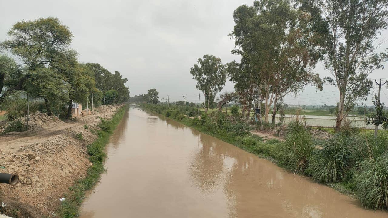दादरी से गुजरती लोहारू कैनाल। 