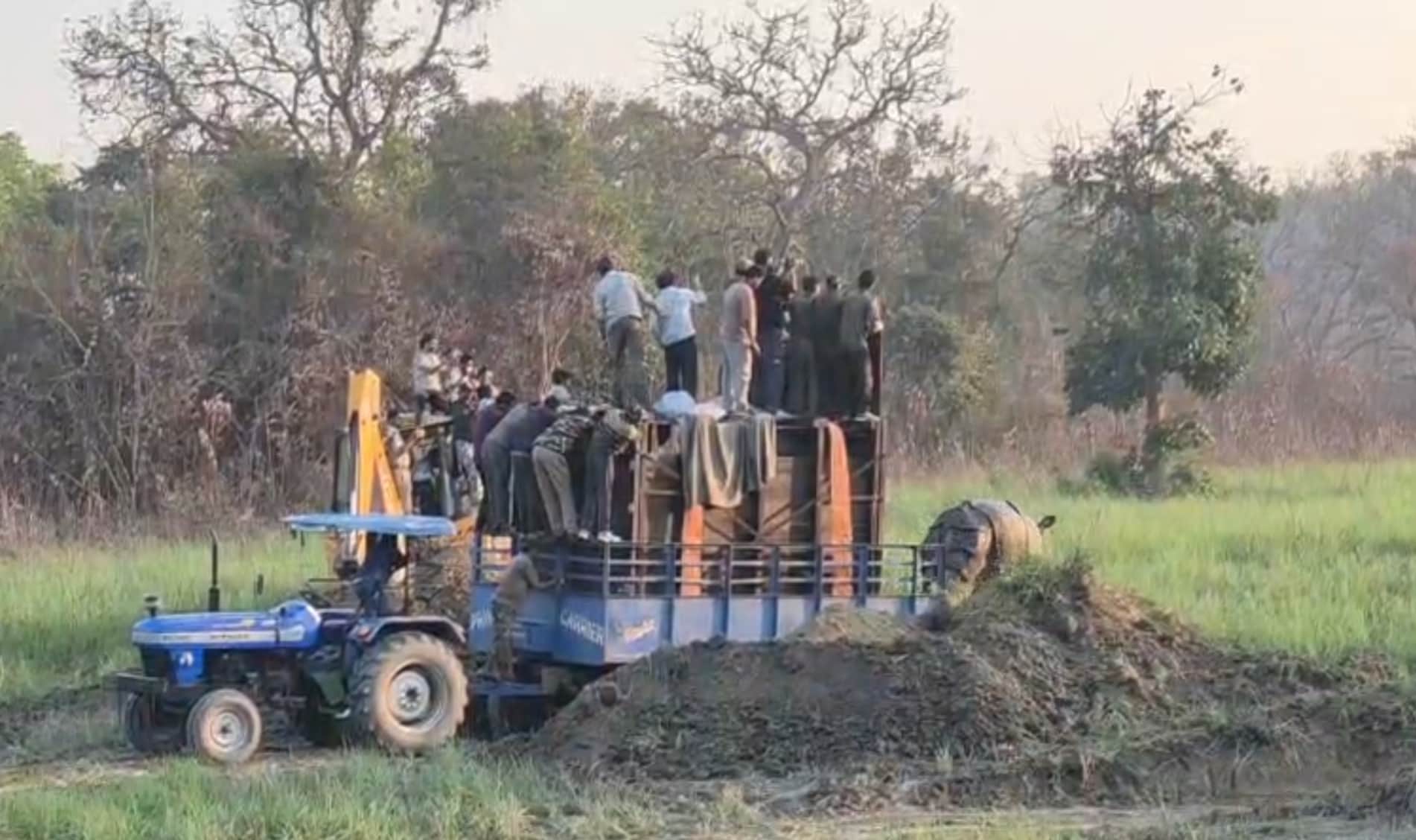 दुधवा के एसडी मचान के पास छोड़ा जा रहा गैंडा। स्रोत : विभाग