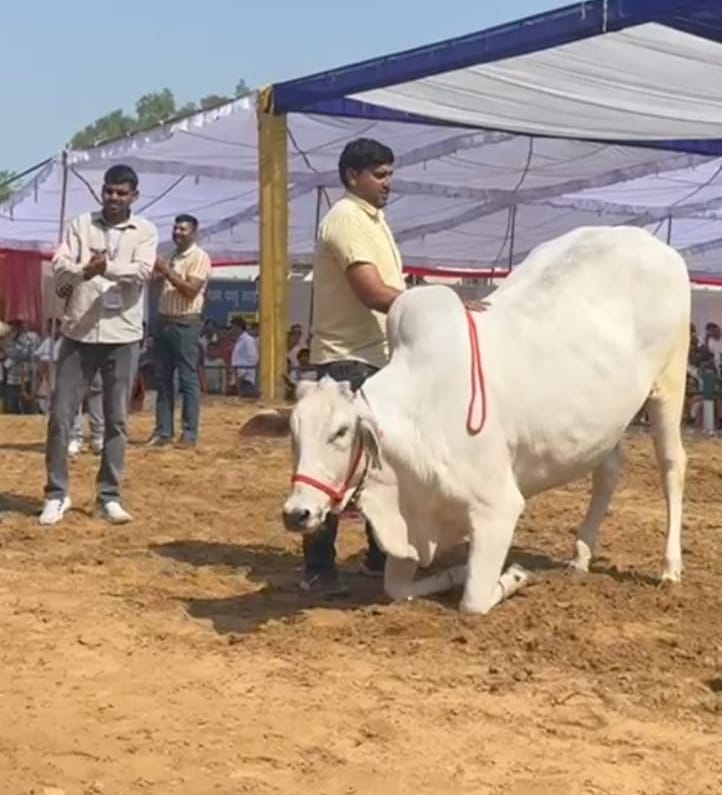 Farmers should adopt natural farming to increase their income: Agriculture Minister