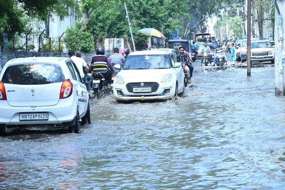 11.5 mm of rain, light rain expected again on 25th and 26th