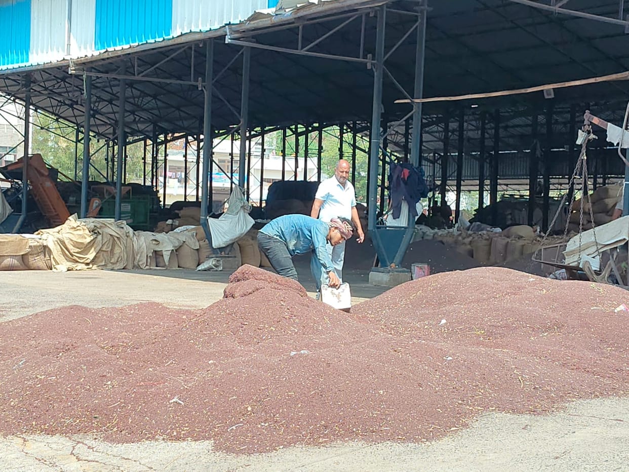 Traders gathered to cover mustard as soon as it rained in the morning, but the sun brought relief.