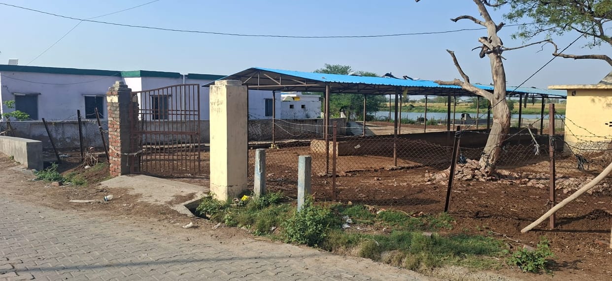 Money was wasted, now 24 cow shelters have been closed.
